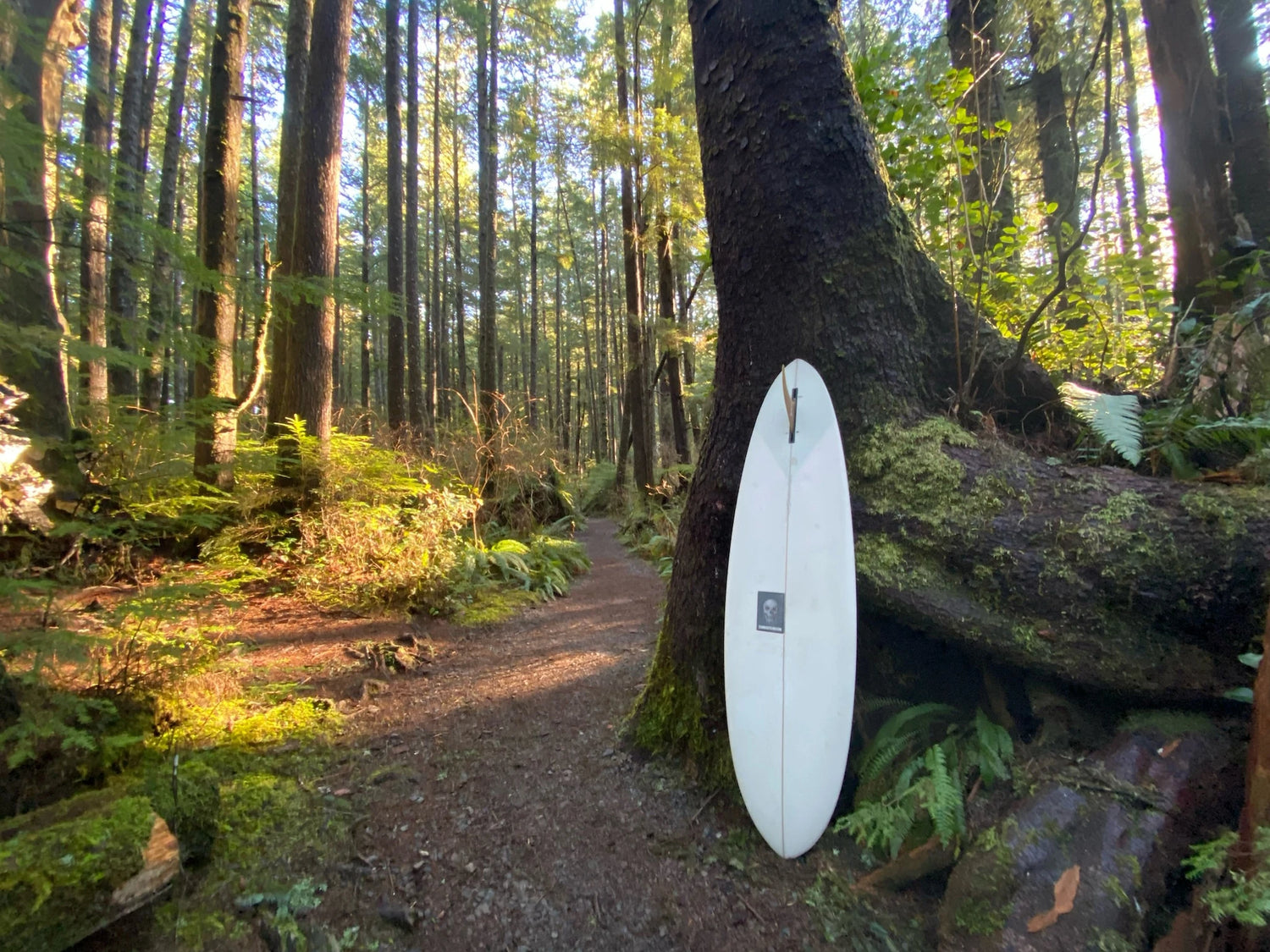 カフェレーサー (CAFE RACER) | クリステンソン サーフボード カフェレーサー (CAFE RACER) | クリステンソン サーフボード