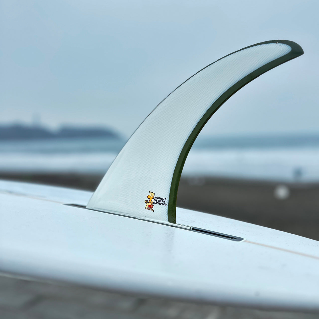 BEACHED DAYS AQUATIC DIVISION / JJ Wessels Golden Egg 8.75インチ