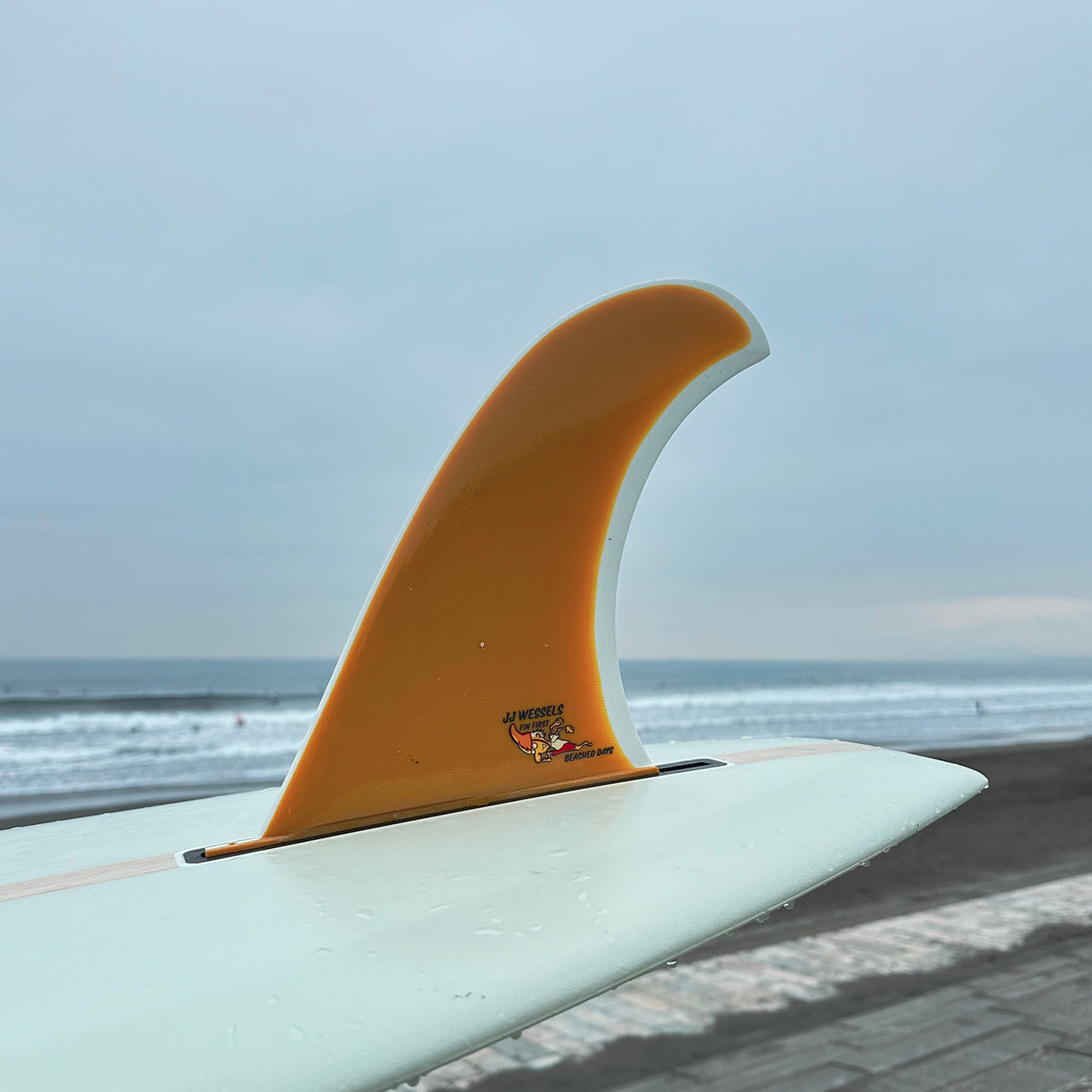 BEACHED DAYS AQUATIC DIVISION / JJ Wessels Pivot 9.75インチ