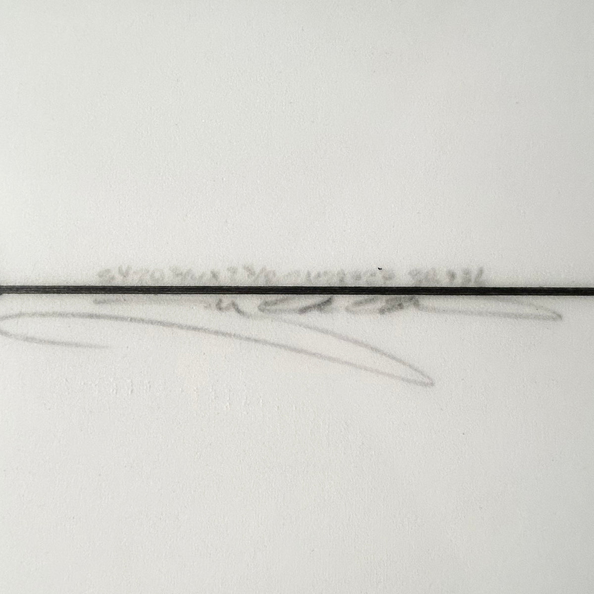 FISH 5'4"