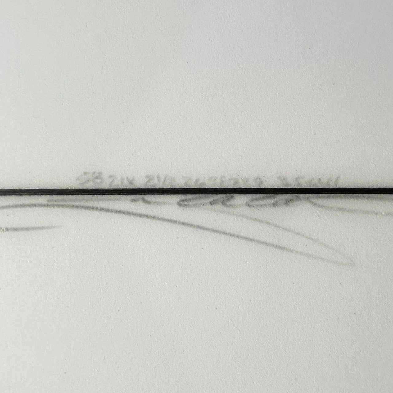 FISH 5'8