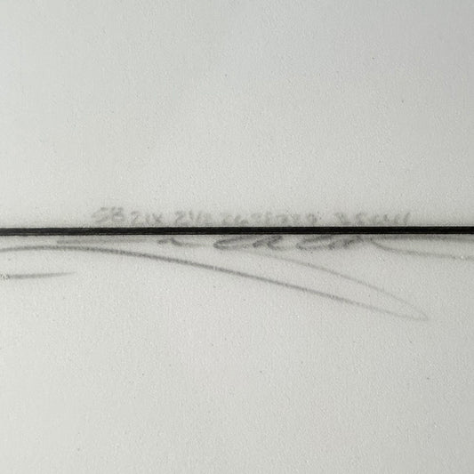 FISH 5'8"
