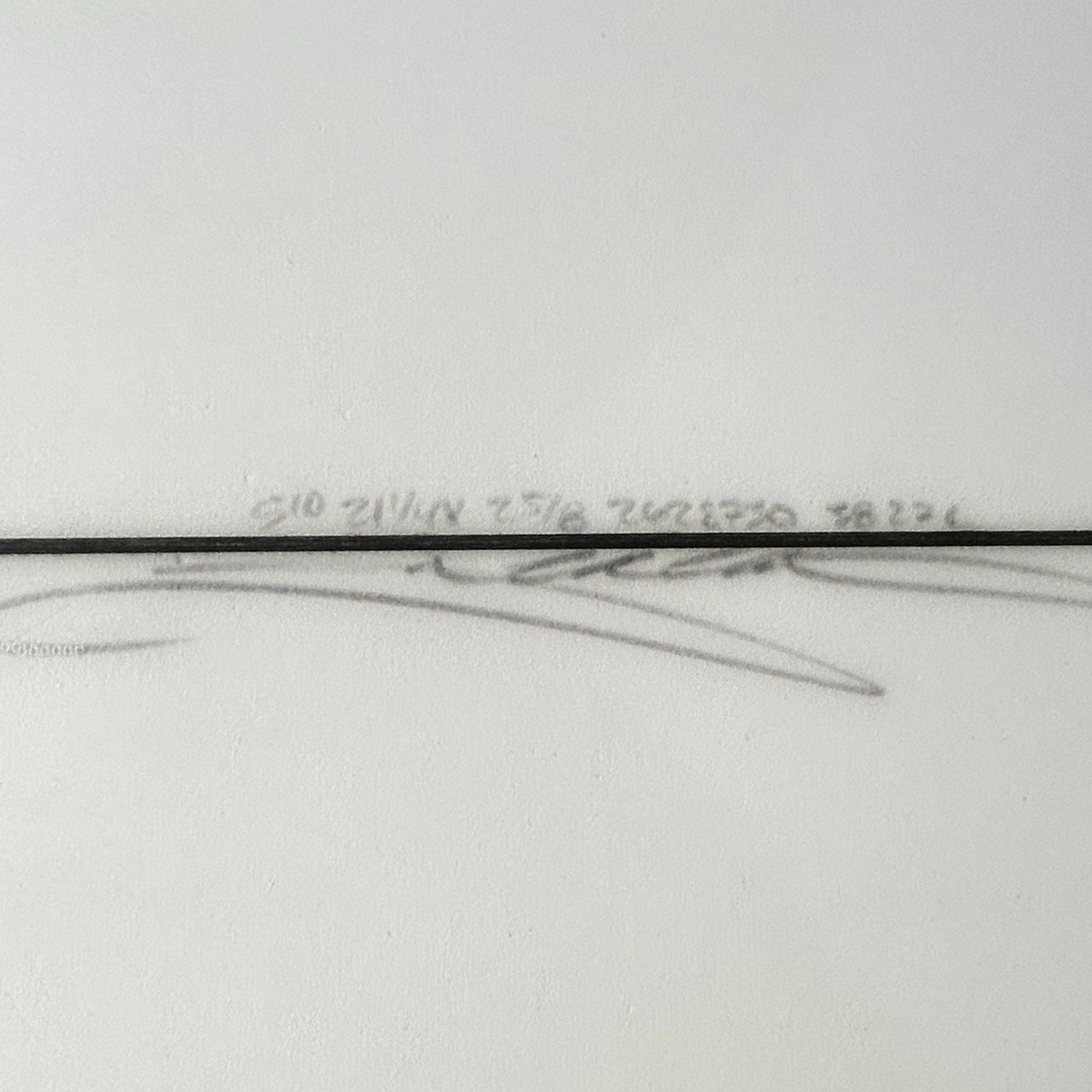 FISH 5'10"